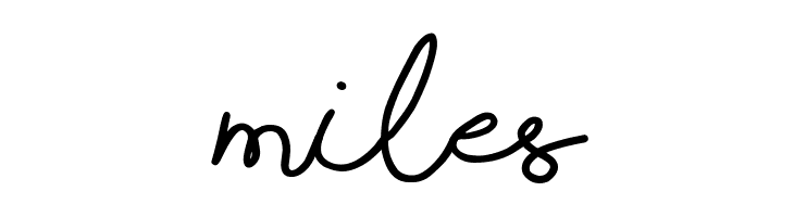 Shorelines Script Bold  Free Fonts Download