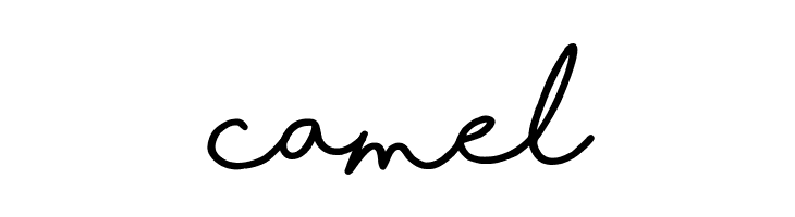 Shorelines Script Bold  Free Fonts Download