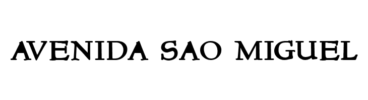 NewStyleSmallCaps Bold  Free Fonts Download