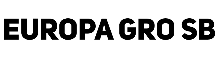 UniSansHeavyCAPS  Free Fonts Download