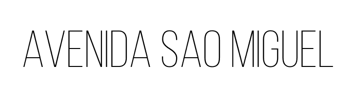 Bebas Neue Light  Free Fonts Download