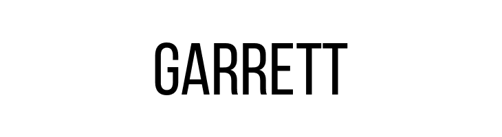 BebasNeueRegular  Free Fonts Download