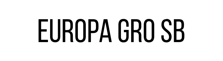 BebasNeueRegular  Free Fonts Download