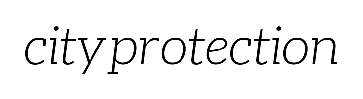 Aleo Light Italic  Free Fonts Download