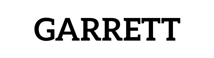 Aleo Bold  Free Fonts Download