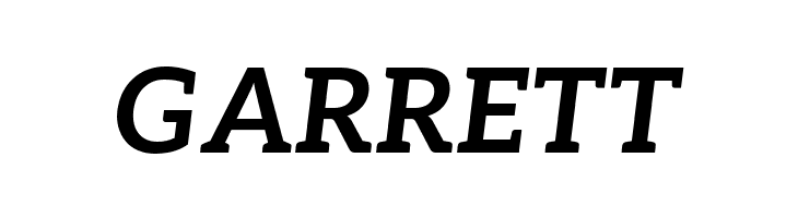 Aleo Bold Italic  Free Fonts Download