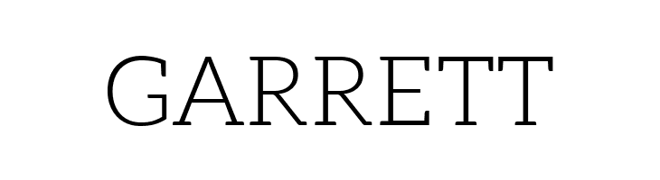 Aleo Light  Free Fonts Download