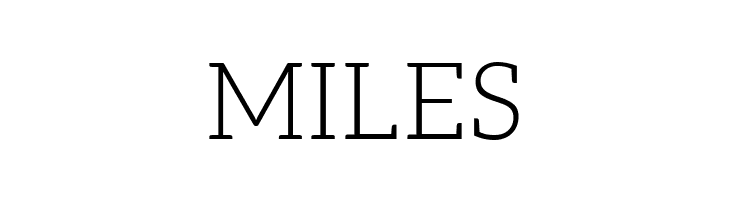 Aleo Light  Free Fonts Download