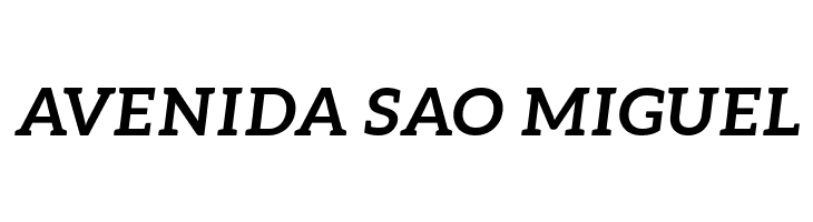 Aleo BoldItalic  Free Fonts Download