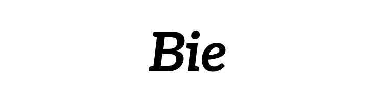 Aleo BoldItalic  Free Fonts Download