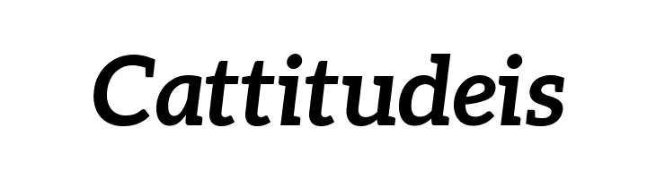 Aleo BoldItalic  Free Fonts Download