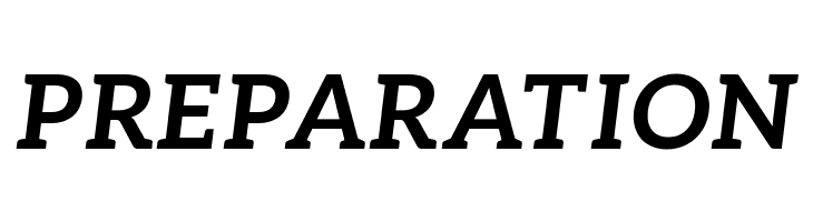 Aleo BoldItalic  Free Fonts Download