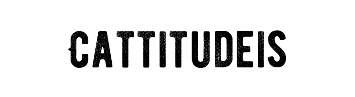 BERNIERDistressed-Regular  Free Fonts Download