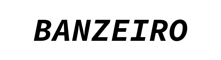 Source Code Pro Bold Italic  Free Fonts Download