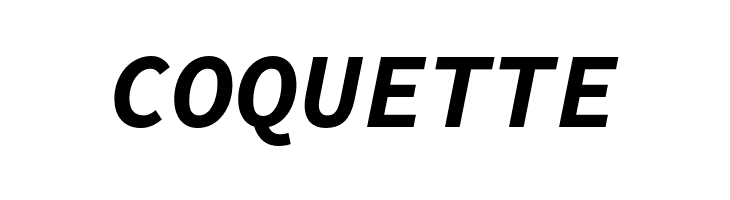 Source Code Pro Bold Italic  Free Fonts Download