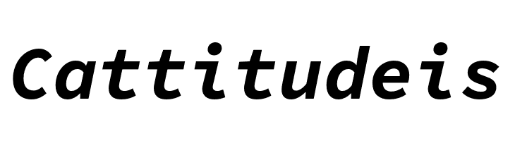 Source Code Pro Bold Italic  Free Fonts Download