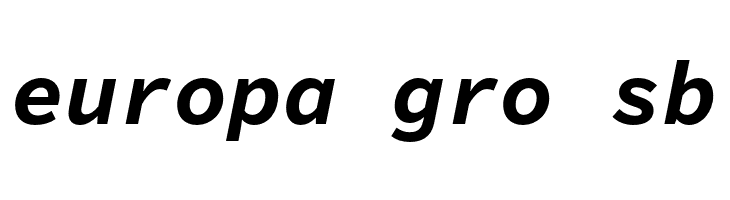 Source Code Pro Bold Italic  Free Fonts Download