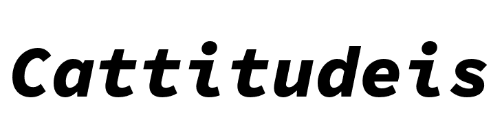 Source Code Pro Black Italic  Free Fonts Download