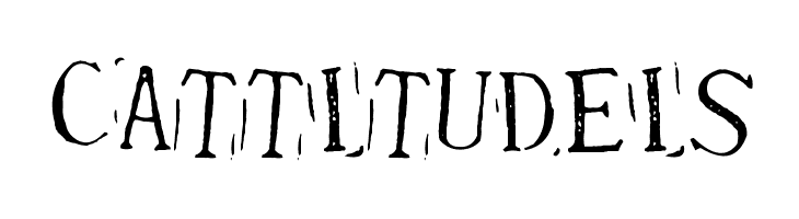 Randy Described Eternity [Demo]  Free Fonts Download