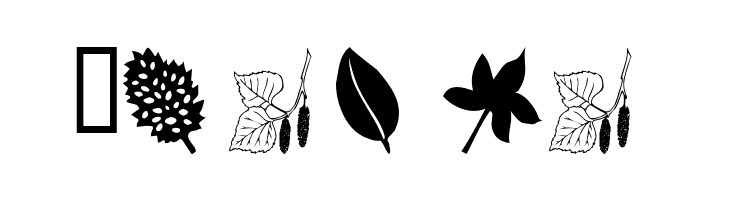 wmleaves1  Free Fonts Download