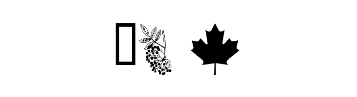 wmleaves1  Free Fonts Download