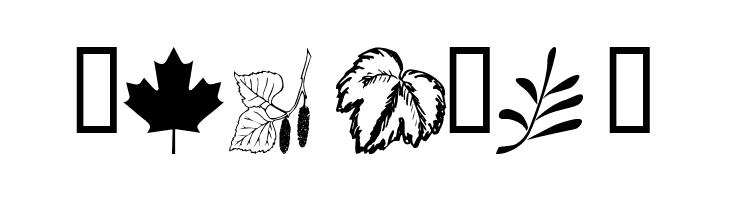 wmleaves1  Free Fonts Download