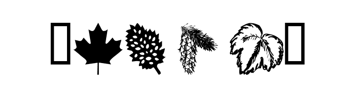 wmleaves1  Free Fonts Download