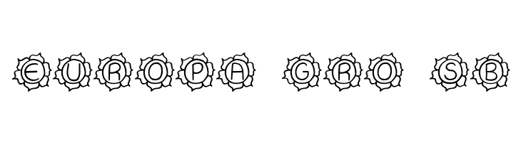 JI Sunflower  Free Fonts Download