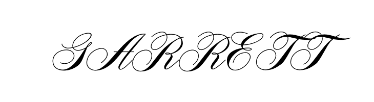 AeroliteScriptCP2  Free Fonts Download