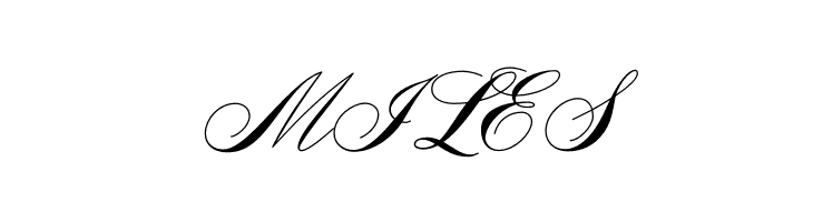 AeroliteScriptCP2  Free Fonts Download