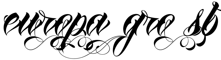AnhaQueenVMF  Free Fonts Download