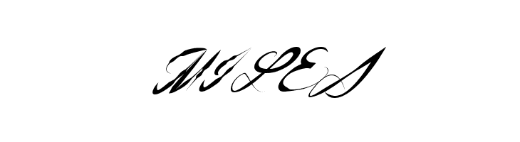 AmericanWestern  Free Fonts Download