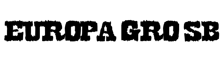 DirtyWestern  Free Fonts Download