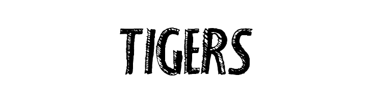 FancyShadow  Free Fonts Download