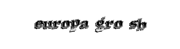WesternRacing  Free Fonts Download