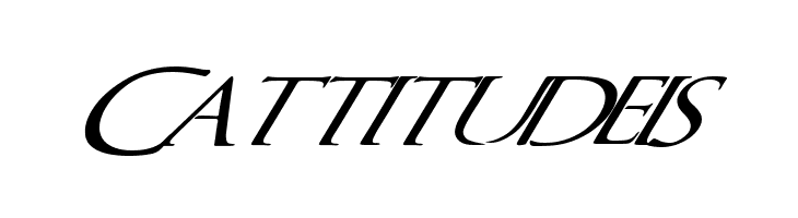 QuagentItalic  Free Fonts Download