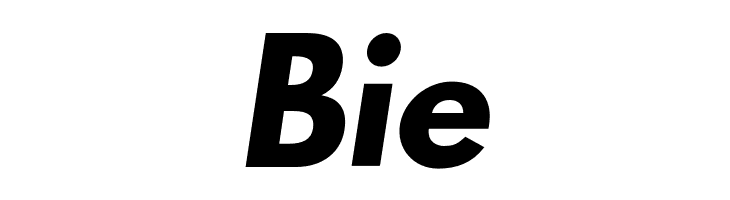 Poland Can Into Big Writings Italic  Free Fonts Download