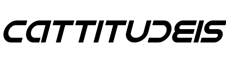 IDroid Italic  Free Fonts Download