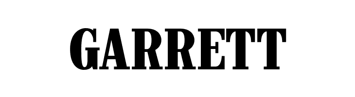 CastlePressNo1  Free Fonts Download