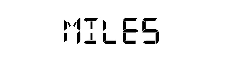 Digital Internet 13sg Bold  Free Fonts Download