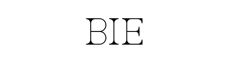 AC Big Serif One  Free Fonts Download