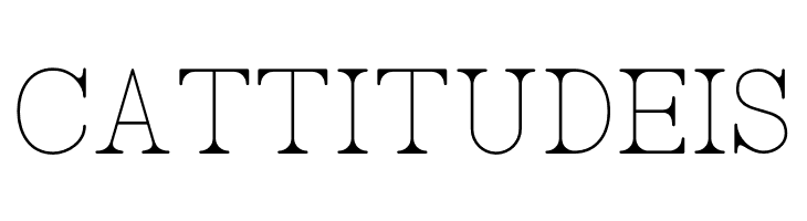 AC Big Serif One  Free Fonts Download