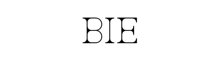 AC Big Serif Two  Free Fonts Download