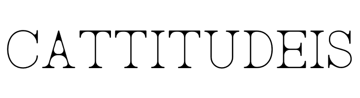 AC Big Serif Two  Free Fonts Download