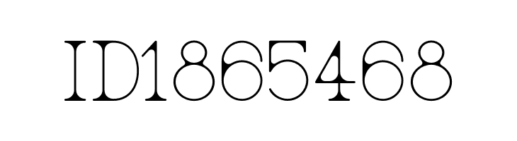 AC Big Serif Two  Free Fonts Download