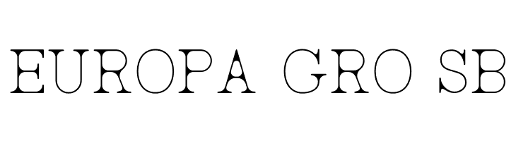 AC Big Serif Two  Free Fonts Download