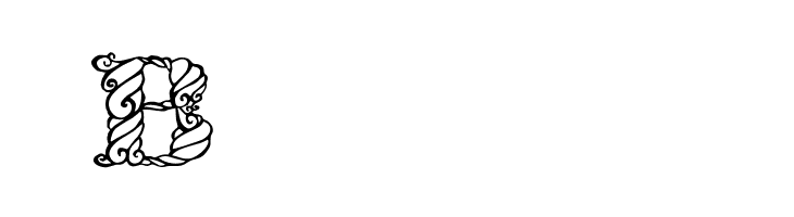 Zsynor  Free Fonts Download