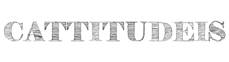 StoneStory  Free Fonts Download