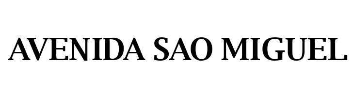 Luxi Serif Bold  Free Fonts Download