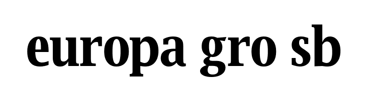 Luxi Serif Bold  Free Fonts Download